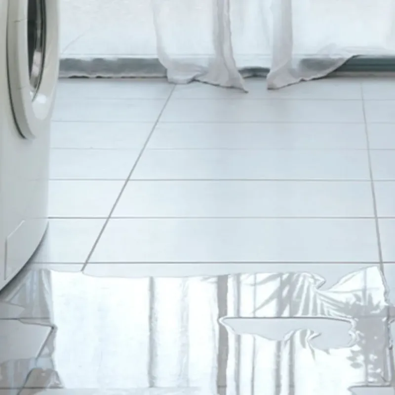 Appliance Leak Cleanup in Portola Hills, CA